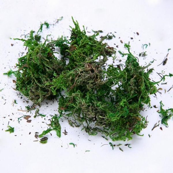 

40g/bag artificial flower dried reindeer moss for garden home decoration diy craft flower bonsai basket plant wedding tu qylsts