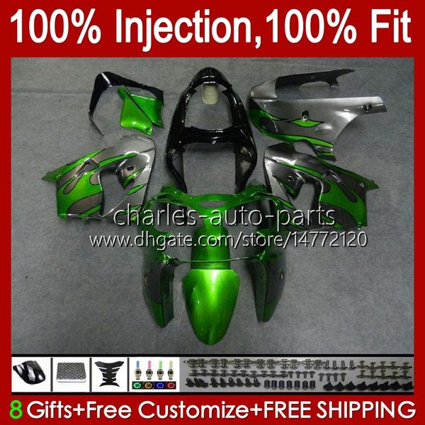 OEM-Karosserie für KAWASAKI NINJA ZX900 ZX9 R 1998–1999, Bodykit 17Nr