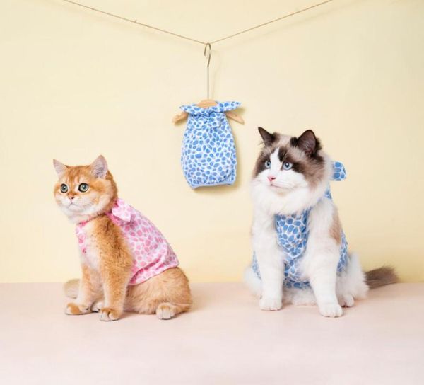 

cat costumes pet clothing for clothes small cats dog coat