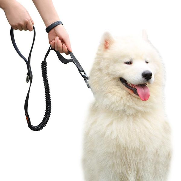 

dog collars & leashes customized design and set