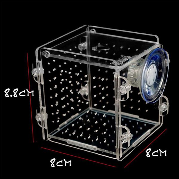 

aquariums aquarium acrylic fish bowls tank breeding isolation box with sucker for baby hatchery rooms incubator reptile cage
