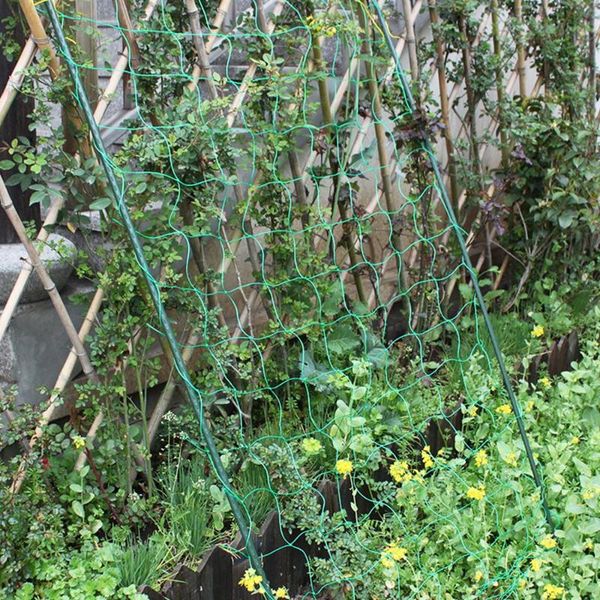 

shade plants climbing net gardening network plant support grow holder garden fence for cucumber morning glory petunia flowers
