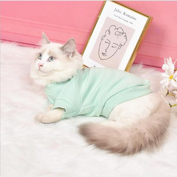 

dog apparel warm cotton short sleeve t-shirt autumn winter pet cat clothes two-legged solid color hoodies for teddy costume