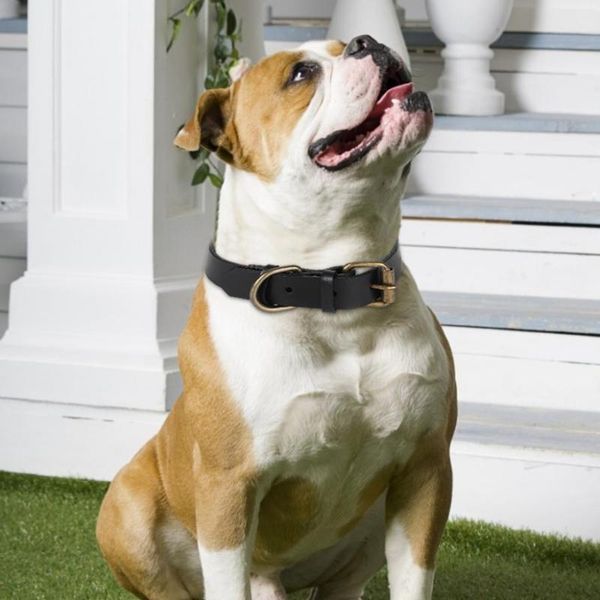 

dog collars & leashes black artificial leather bronze metal buckle head pet collar neck strap for small medium size dogs