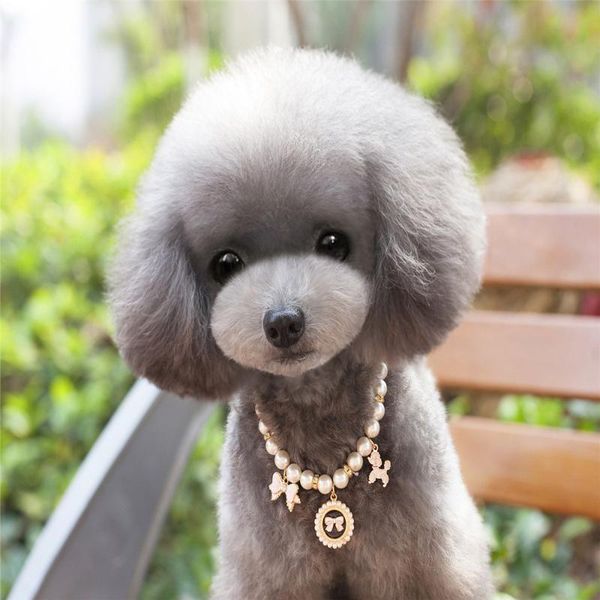 

dog collars & leashes fashion pearl collar pet accessories and gorgeous attractive correa perro colier chien