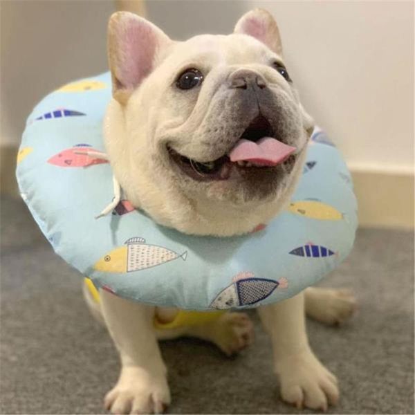

cat collars & leads 1pc pet circle collar dog grooming headgear anti-licking anti-bite protective cover shame soft