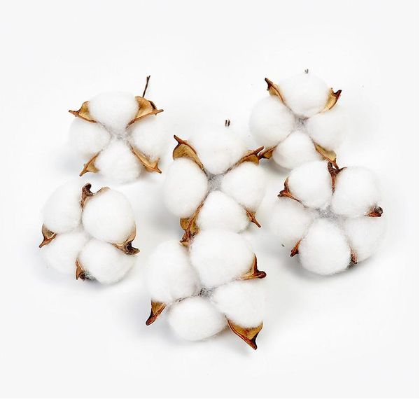 

5/10pcs natural dried flowers kapok cotton artificial flowers for wedding party home decorations diy craft wreath gift s jllhfx
