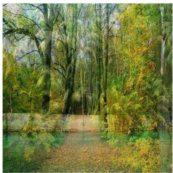 

wallpapers fresh green forest 3d background wall paper beautiful scenery