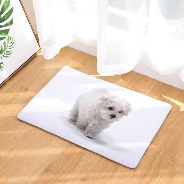 

cushion/decorative pillow animal print flannel entrance doormat dog pattern home decor kitchen carpet rectangle decorative anti slip bathroo
