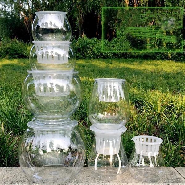 

vases hydroponic transparent plastic vase plant flowerpot fixed container green radish round
