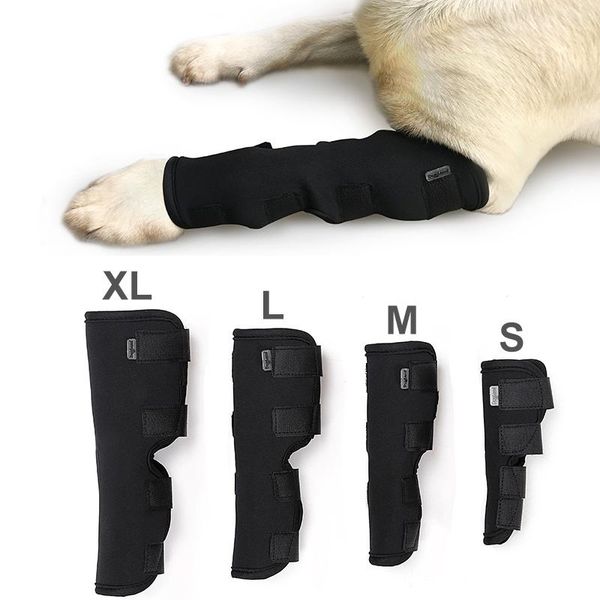 

dog apparel accessories pet leg wrap heals prevents injuries rear support protect wounds professional vet recommend