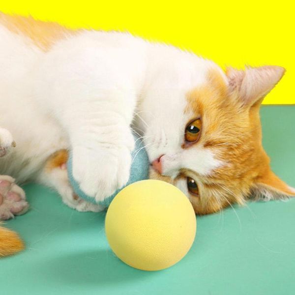 

cat toys ball toy realistic animal chirping sounds balls nip supplies pet fun kicker kitten for exercise interacti m9g1