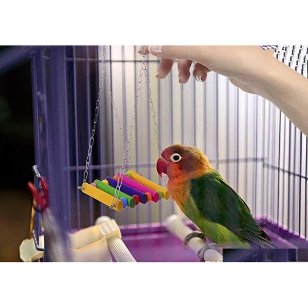 

colorful pet bird swing parrot hammock durable bite resistant play toy training entertaining environmentally fri jllwcy home003
