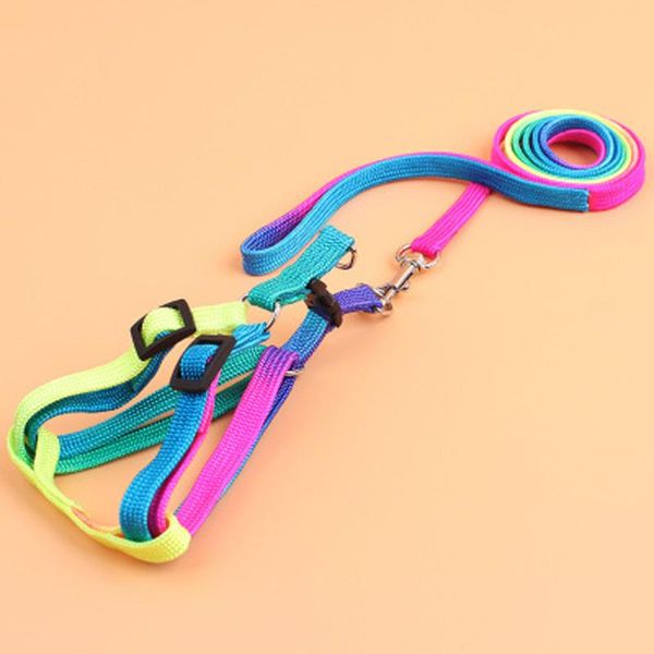 

2021 new small pet leashes accessories new nylon pet cat dog kitten adjustable colorful harness lead leash collar belt