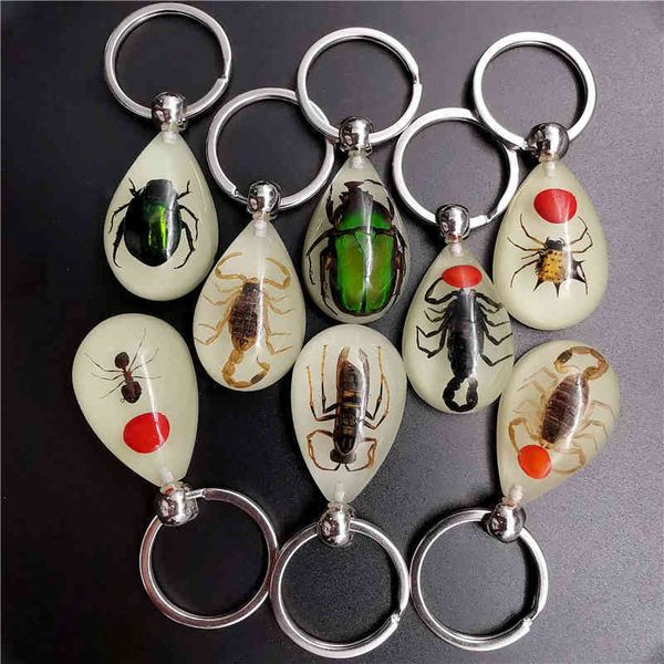 Keychains Fashion Amber Resin Key Ring, Worm, Escorpião, Coruja Noturna, Presente, Atacado