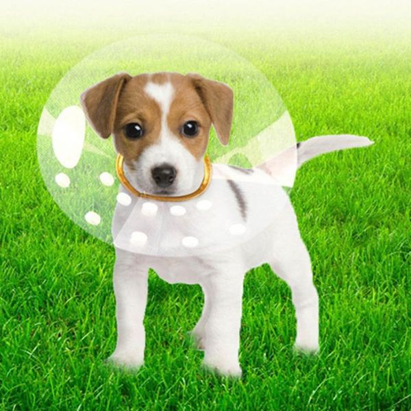 

dog car seat covers transparent pet cat collar anti-bite lick wound healing neck cone recovery feeding protective circle