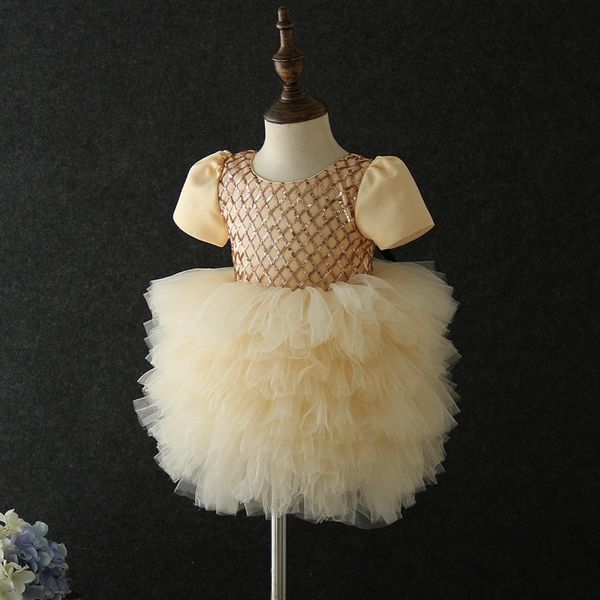 

New style baby anniversary birthday party banquet embroidered dress flower girl Princess first dance performance dress