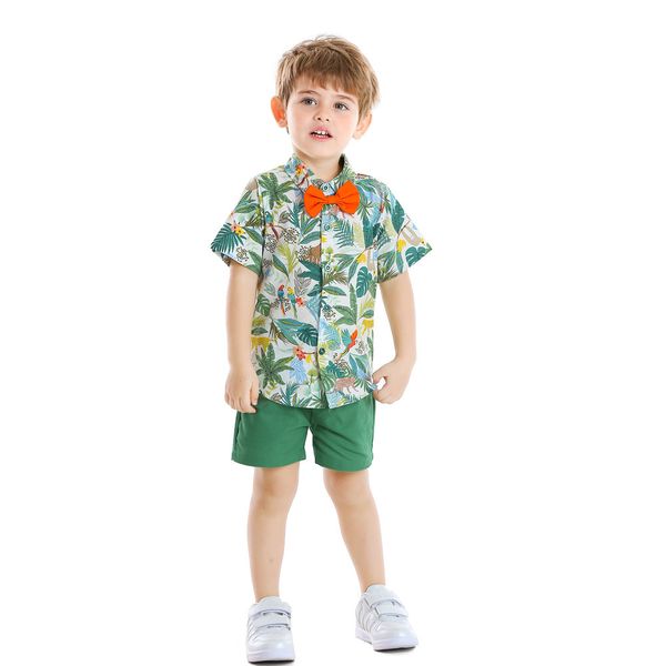 

children's summer boy's animal print shirt and shorts batch, Blue