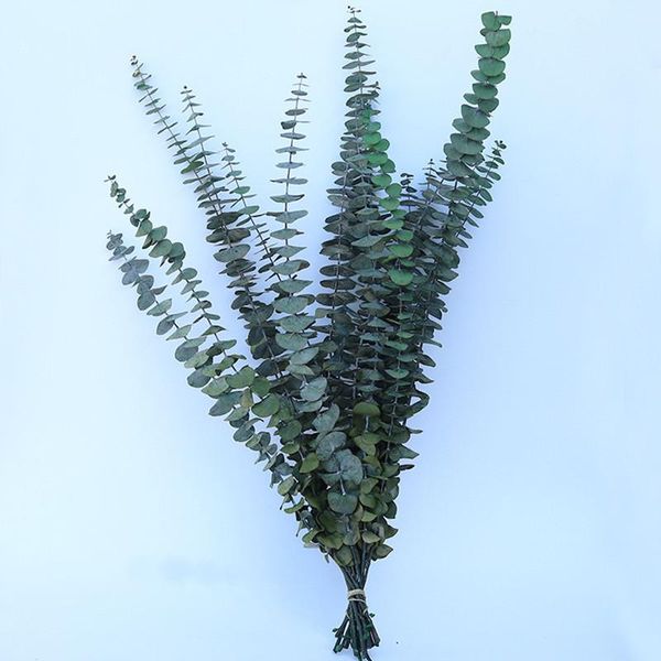 

decorative flowers & wreaths 10pcs natural eucalyptus branches leaves dried flower bouquet ornament diy home wedding shooting prop decoratio