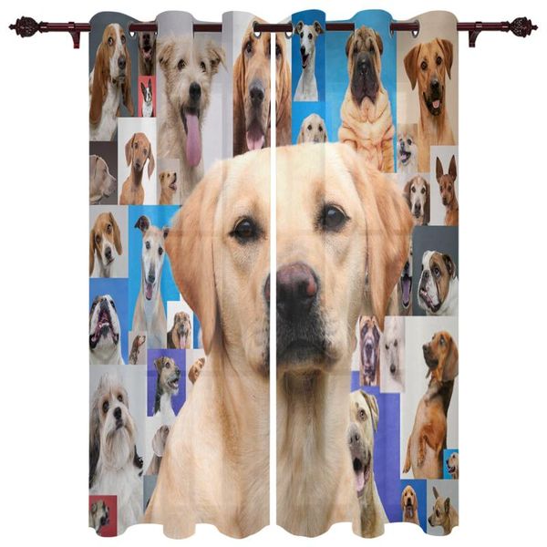 

exquisite home luxury curtains dog p cute living room dining room bedroom l exquisite translucent curtains