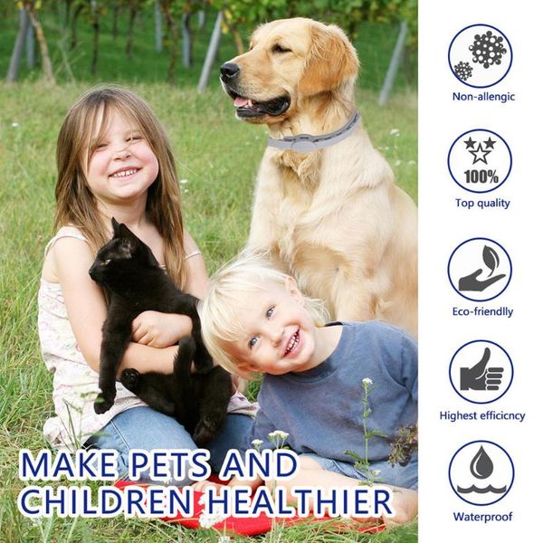 

dog collars & leashes seresto dogs cats anti flea tick collar 8 months long protection pet puppy insect mosquitoes waterproof