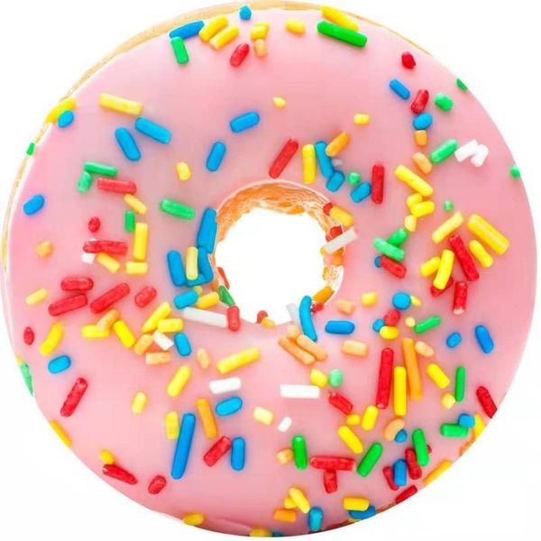 

blankets warm flannel pizza blanket round donut burger airplane travel portable