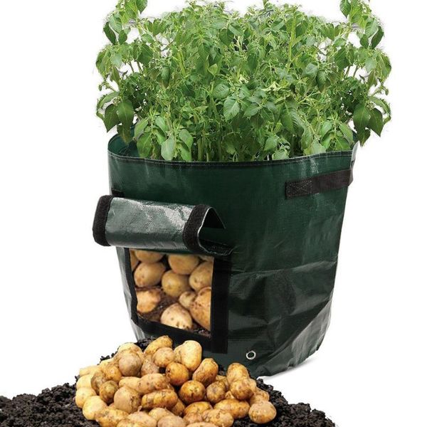 

garden pot planter grow bag container bag potato grow vegetable gardening diy pe cloth potato pe cloth planting thicken