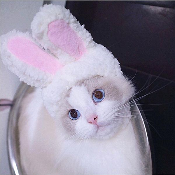 

cat costumes funny pet cap costume warm hat year party christmas cosplay accessories po props headwear