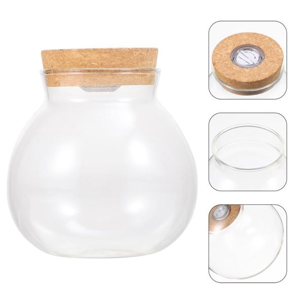 

vases fish tank diy micro landscape bottle plant terrarium holder glass