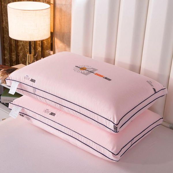 

pillow wormwood sleeping a pair of cores 48x74 core single double case not deformed home