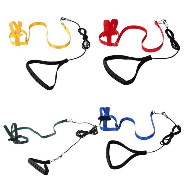 

other bird supplies parrot flying training rope anti-bite adjustable leash kits with cute wing for peony mynah