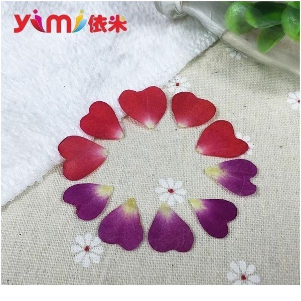 

realy dried flowers rose petals hand-made diy candle plane pressing true flower plant specimens rea jllxkw