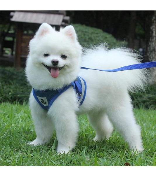 

vest-type breathable pet chest strap dog leash walking dog reflective rope chain comfortable chest strap pet products