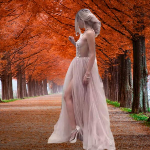 

tulle long women's prom dresses custom made arrival backless sweep train beaded a line special occasion evening gowns, Black;red