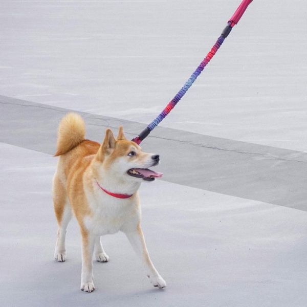 

dog collars & leashes adjustable loop collar training leash slip rope lead heavy duty for small medium large accessories