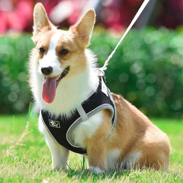 

dog collars & leashes soft dogs chest strap mesh harness vest pet lash puppy