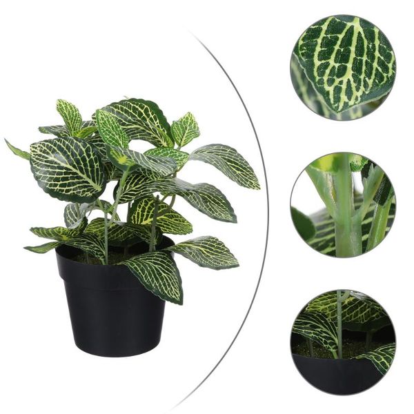 

artificial fittonia home deskfake flower decor simulation bonsai ornament