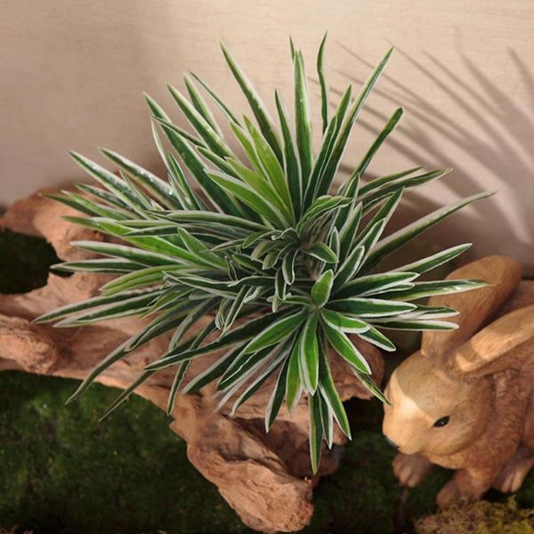 

decorative flowers & wreaths artificial plastic plant chlorophytum branch home fake plants pot potted table decoration indo z6s7