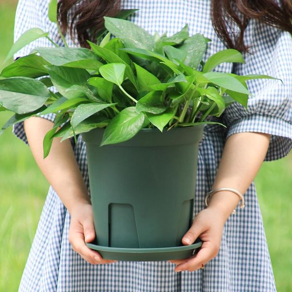 

vases control pot thickened plastic rose flower planting permeable and water simple green roll gallon