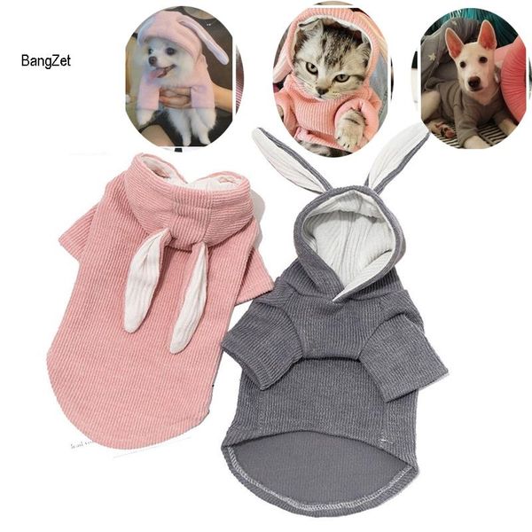 

cat costumes clothes autumn winter sphinx costume soft fleece dog hoodies kedi katten sphynx warm sweater chihuahua pug