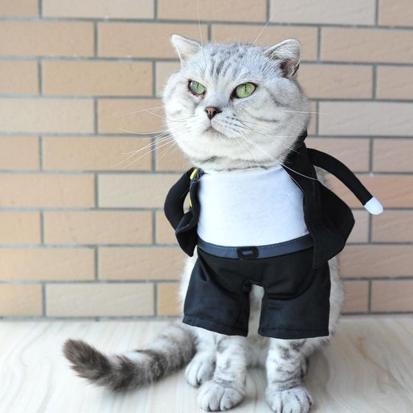 

cat costumes [mpk store] costume, japanese secret society costume for cats and dogs, mafia pet