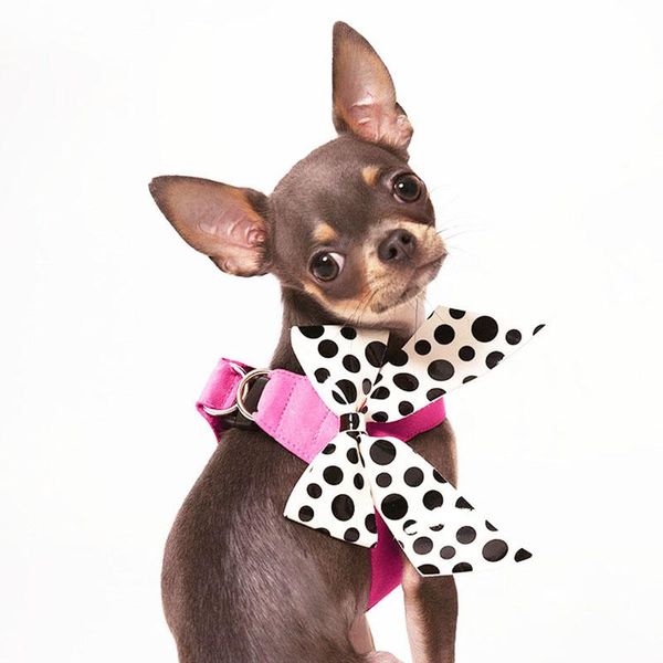 

dog collars & leashes elegant lace bowknot harness vest adjustable chest cute bow knot suit for pet accessories