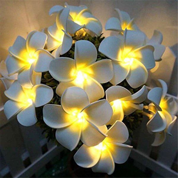 

strings 10/20/40leds flowers frangip string lights battery operated floral holiday garland for christmas wedding event party art decor