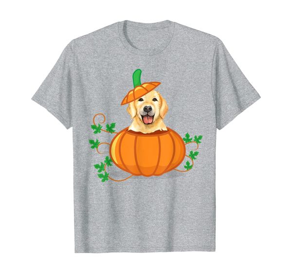 

labrador retriever thanksgiving pumpkin gift, White;black