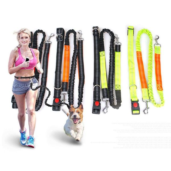 

personalized dog collar and leash hands running reflective rope elastic nylon extend puppy walking training dog accessories
