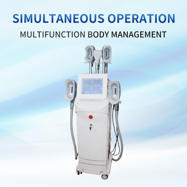 

2022 body slimming fat ing cryolipolysis machine for belly fat removal