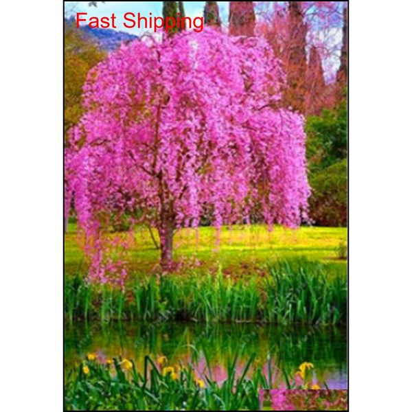 

10 pcs mixed japanese bonsai sakura tree seeds weeping cherry tree diy home garden dwarf sakura jllpop bdedome