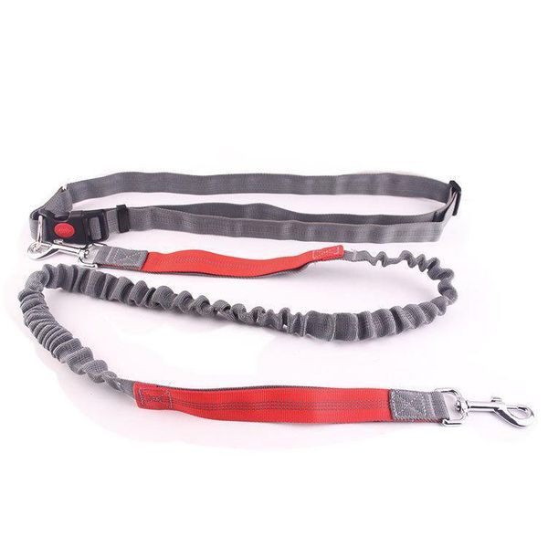 

dog collars & leashes durable adjustable outdoor pet supplies