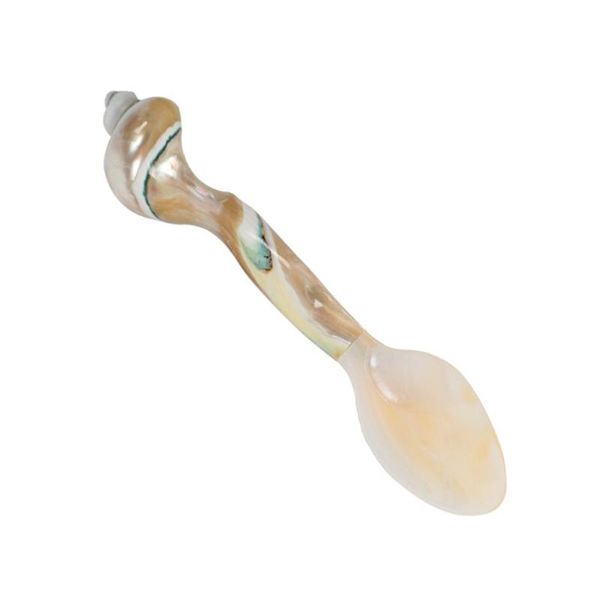 

spoons delicate kitchen spoon unique seasoning with natural conch shape