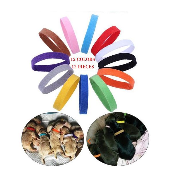 

cat collars & leads 12-color and dog collar born identification logo double-sided fluff pet distinguishing accessories